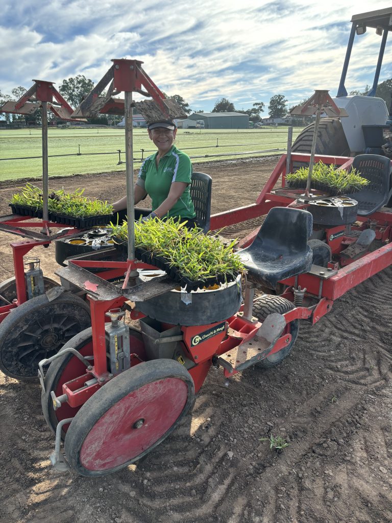 Planting Stampede